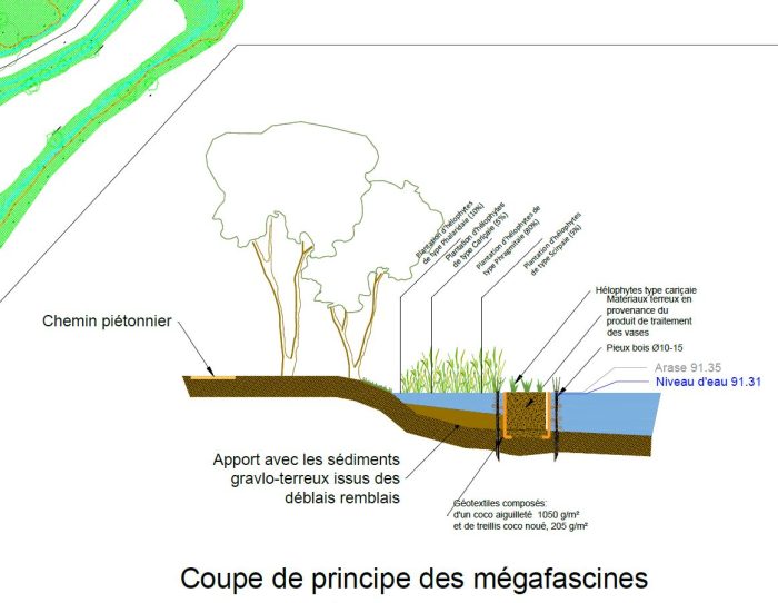 Coupe Mégafascines
